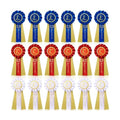 MTLEE Award Ribbons 1st 2nd 3rd Place Ribbon Participation Ribbon Rosette Winner Prize Ribbons First Second Third Medal for School Classroom Recognition 6.5 x 3 Inch (Red White Blue,18 Pcs)