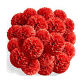 Recosis Red Party Decorations, 18 Pcs Paper Pom Poms Decorations