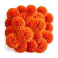 Recosis Orange Party Decorations, 18 Pcs Paper Pom Poms Decorations