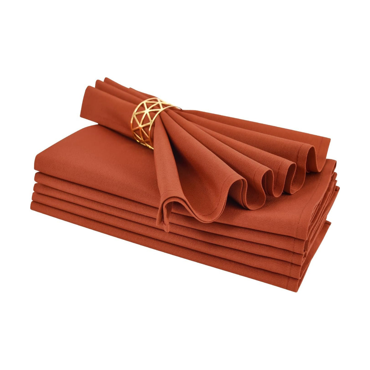 Rust Cloth Napkins Set of 6 Washable Dinner Napkins, 18X18 in